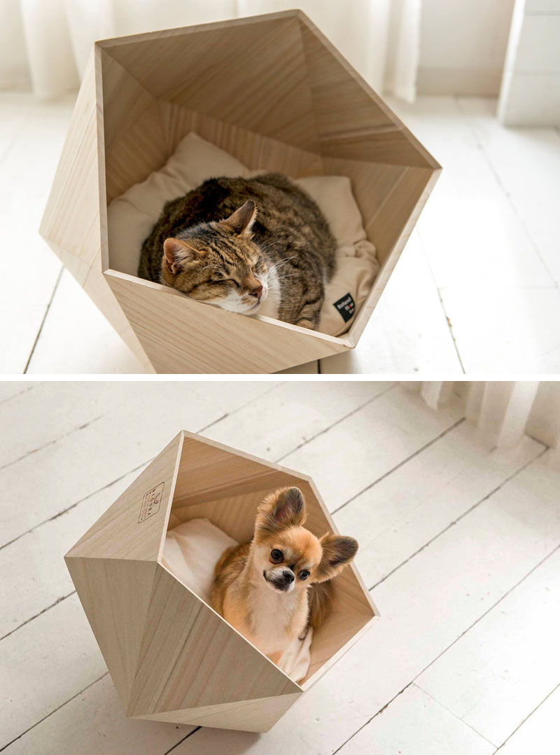 modern-wooden-pet-beds-cats-dogs-200217-342-03