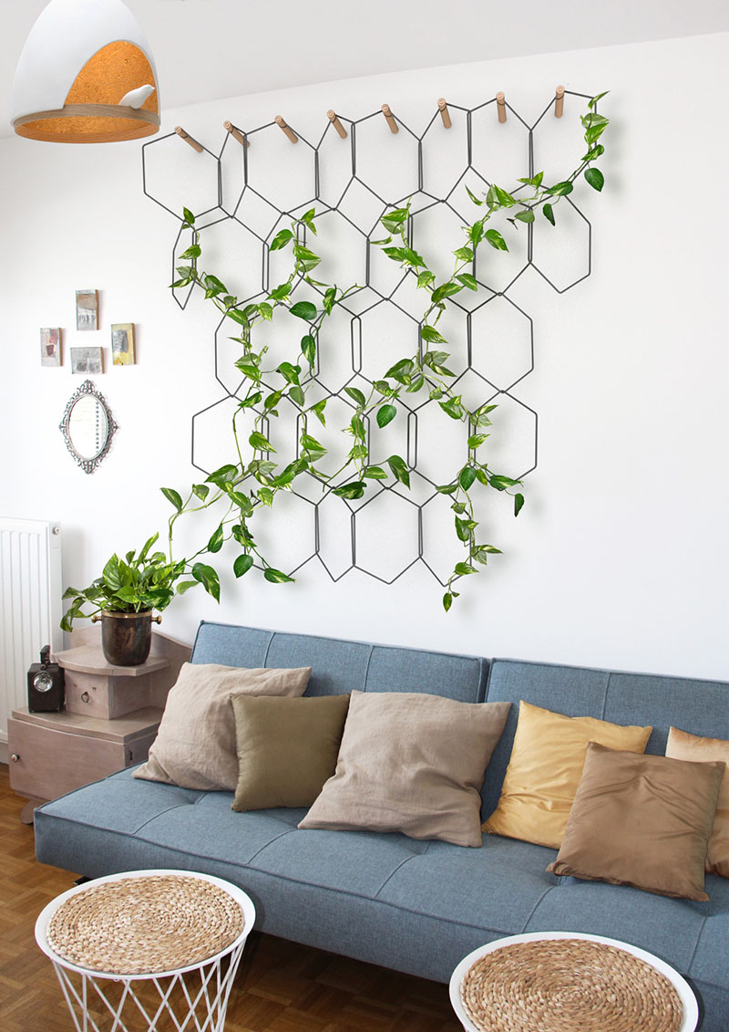 spring-decor-indoor-vines-160117-1037-01